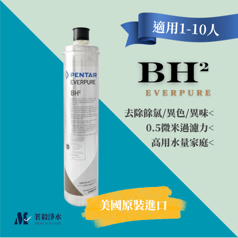 【濱特爾 PENTAIR】BH2濾心 濾芯  美國進口平行輸入 EVERPURE (DIY)