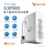 【愛惠浦 EVERPURE】Waterdrop G3P800 廚下直出 RO淨水設備